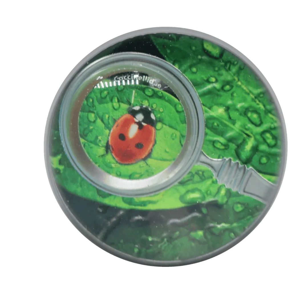 Lot 31 — 2020 500 Francs CFA Cameroon Ladybird the Secret Garden Silver Coin .999 (17.5g silver) Proof